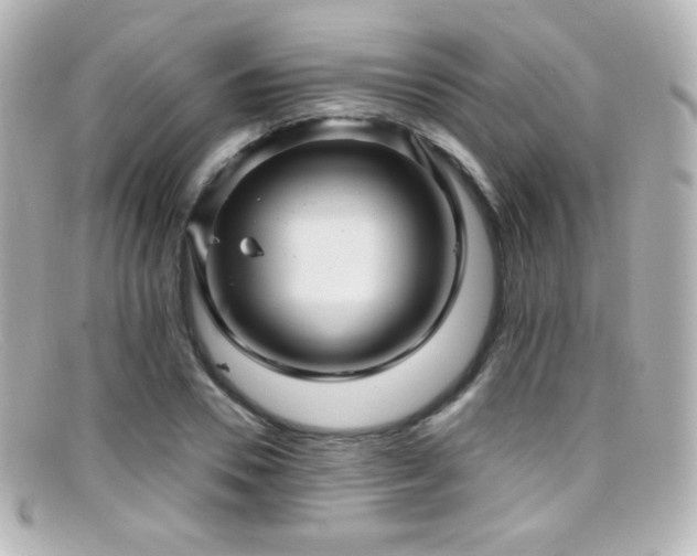 X0000099380930200805081442