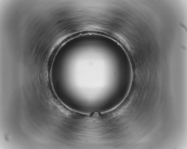 X0000099380931200805081443