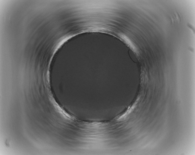 X0000099380932200805081443