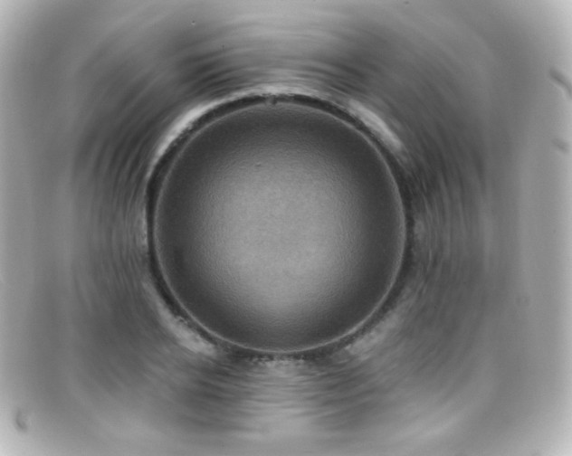 X0000099380934200805081443