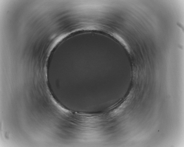 X0000099380935200805081443