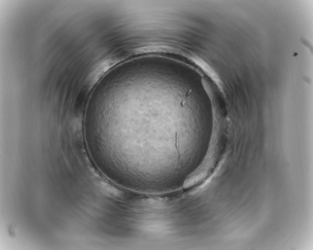 X0000099380937200805081443