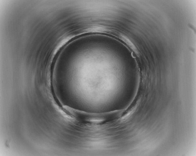 X0000099380939200805081443
