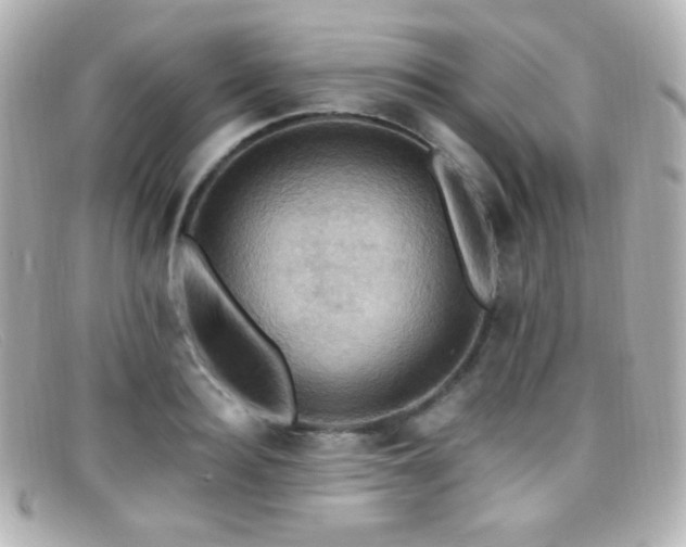X0000099380940200805081443