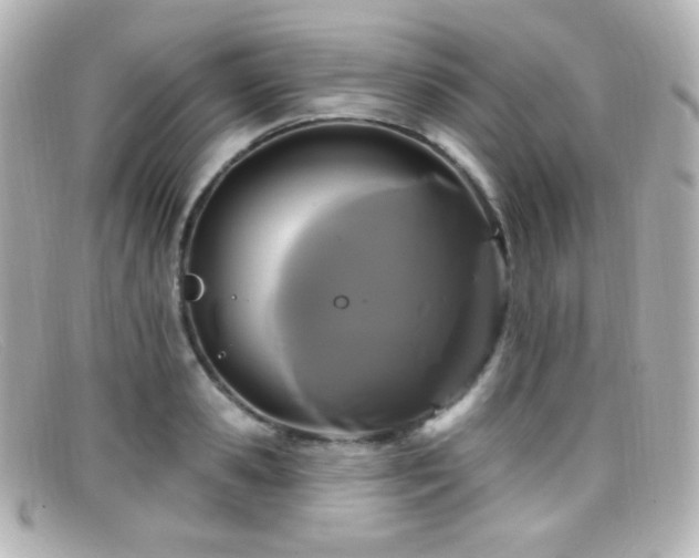 X0000099380941200805081443