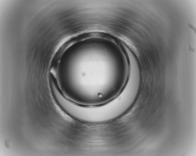 X0000099380942200805081443