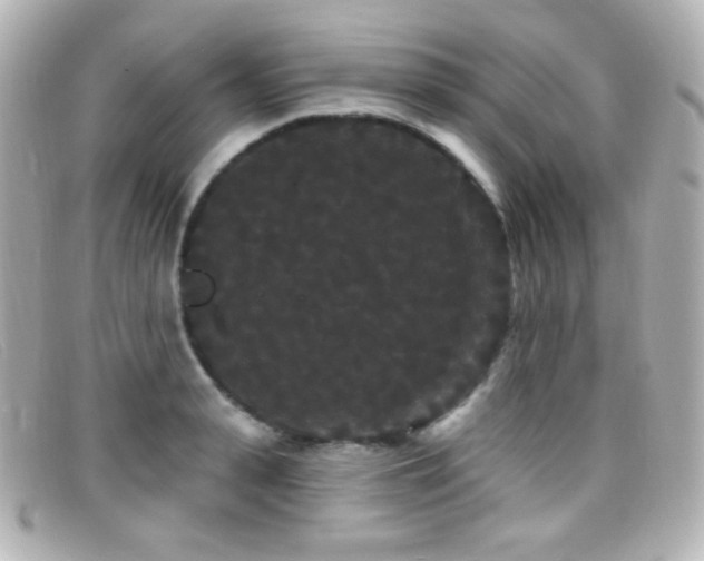 X0000099380943200805081443