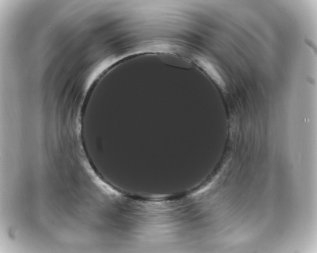 X0000099380944200805081443