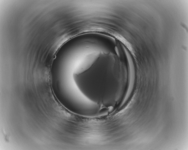 X0000099380945200805081443