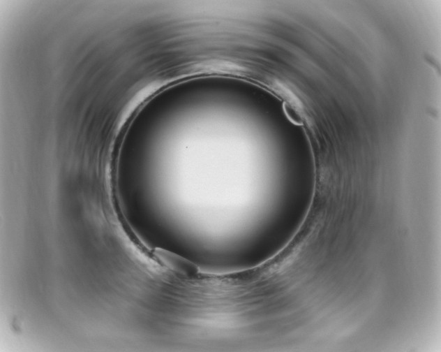 X0000099380947200805081443