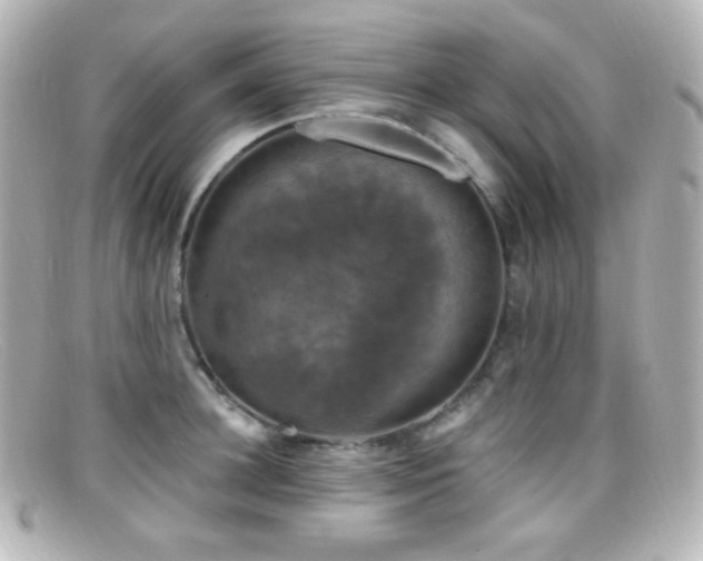 X0000099380948200805081443