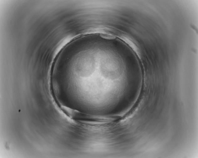 X0000099380949200805081443