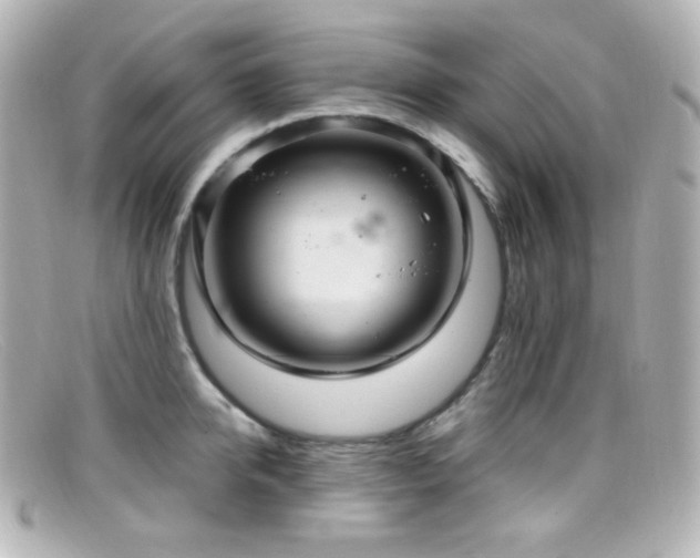 X0000099380950200805081443