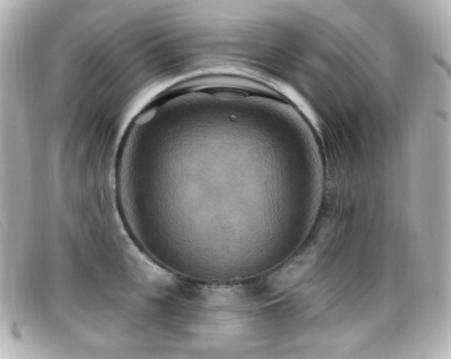 X0000099380951200805081443