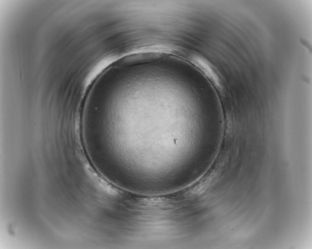 X0000099380952200805081443