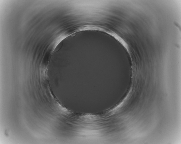 X0000099380953200805081443