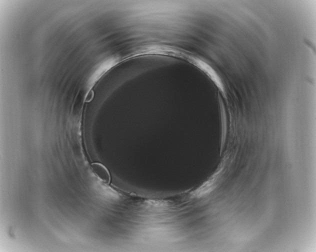 X0000099380954200805081443