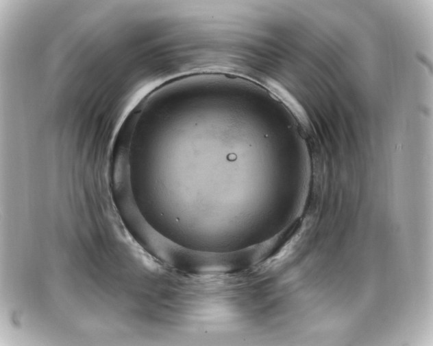 X0000099380956200805081443
