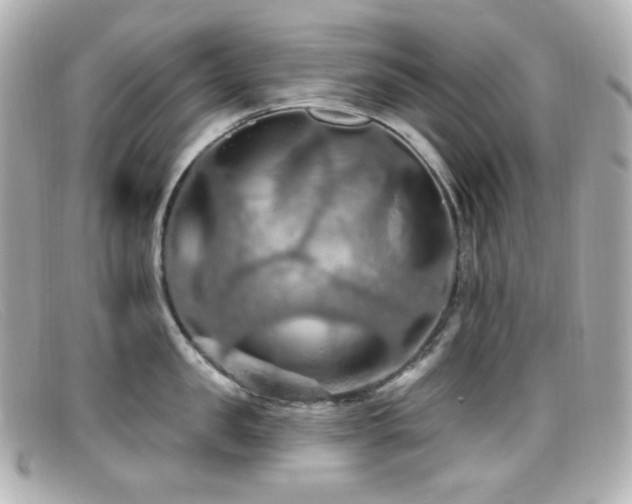 X0000099380957200805081443