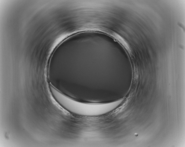X0000099380958200805081443