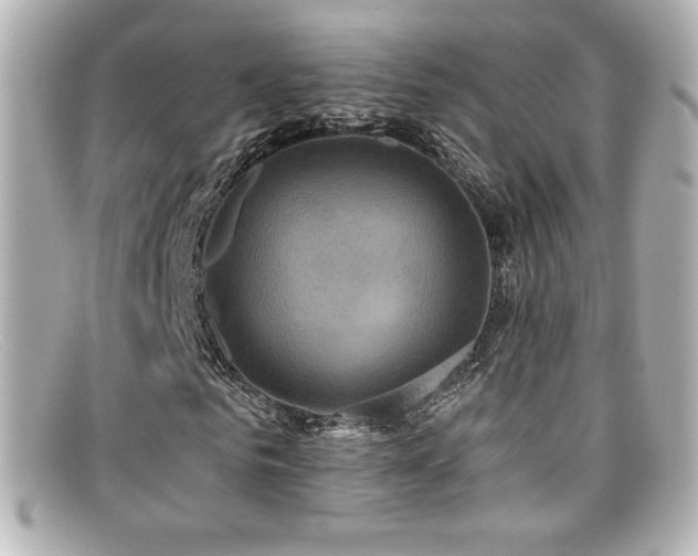 X0000099380961200805081442
