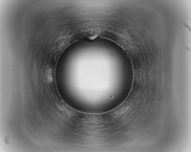 X0000099380962200805081442