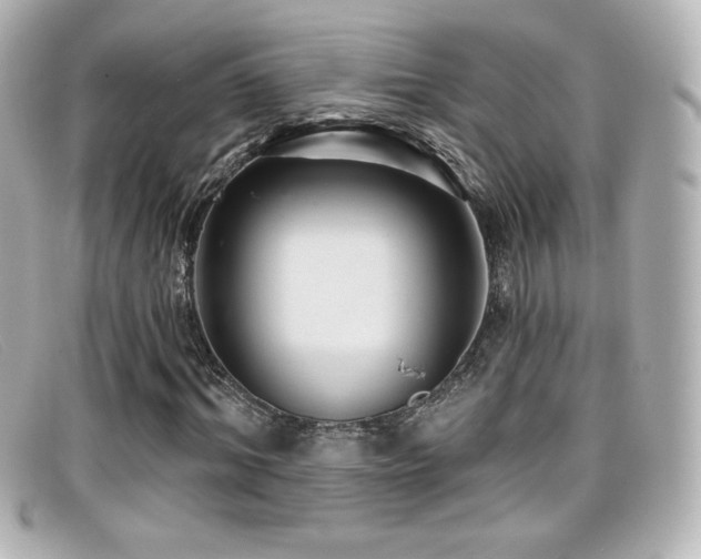 X0000099380964200805081442