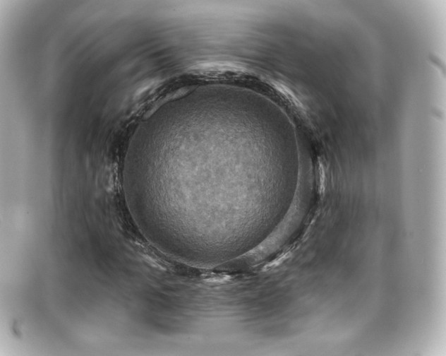 X0000099380965200805081442