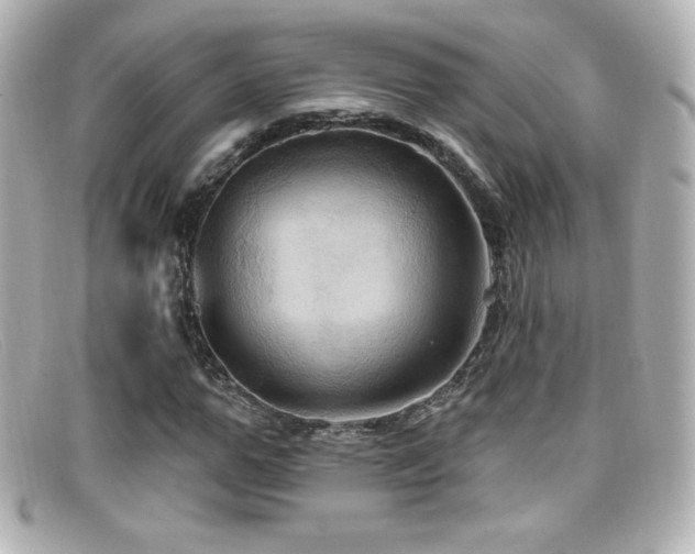 X0000099380967200805081442