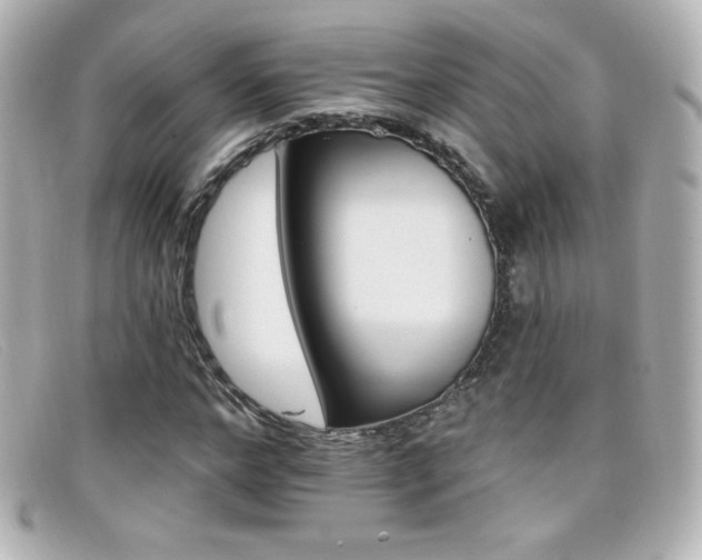 X0000099380968200805081442