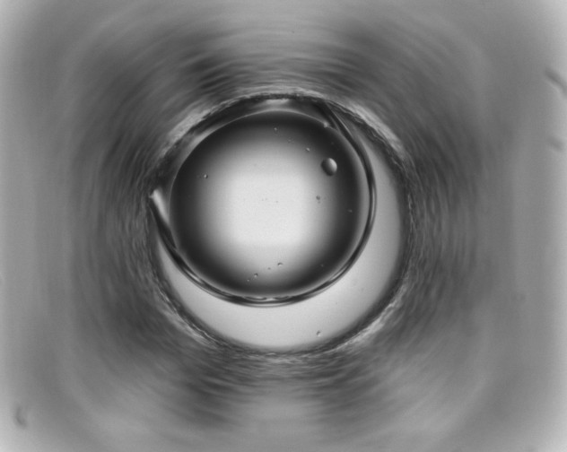 X0000099380969200805081442