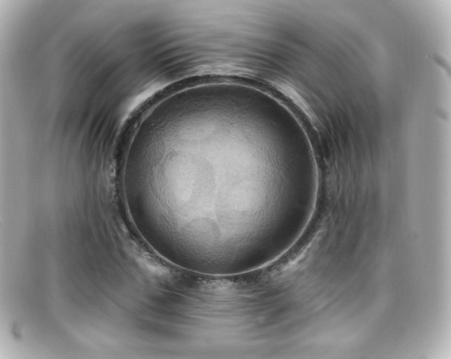 X0000099380971200805081442