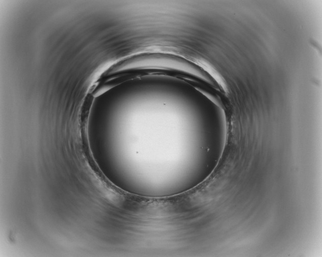 X0000099380972200805081442