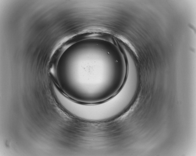 X0000099380973200805081442