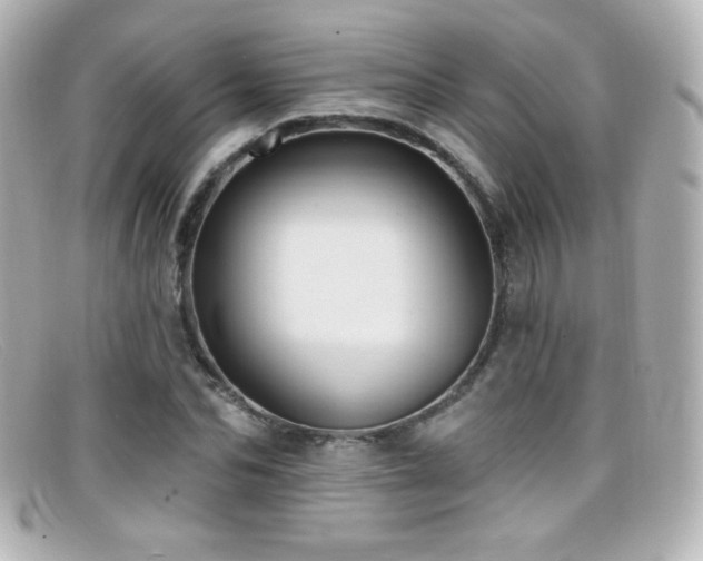 X0000099380974200805081442