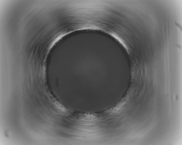 X0000099380975200805081442