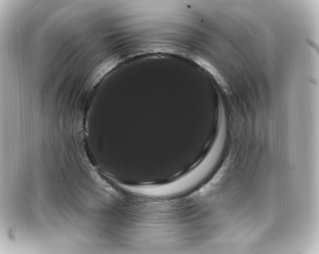 X0000099380977200805081442