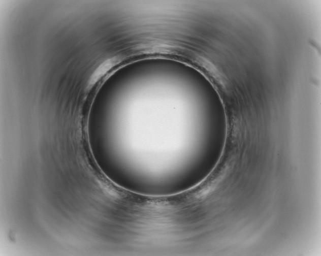 X0000099380978200805081442