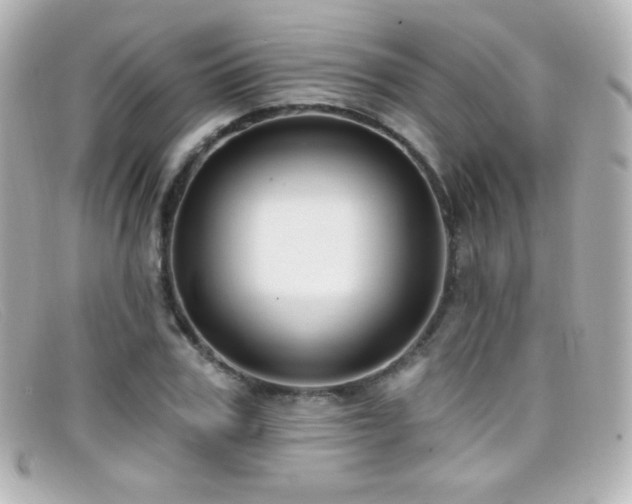 X0000099380979200805081442