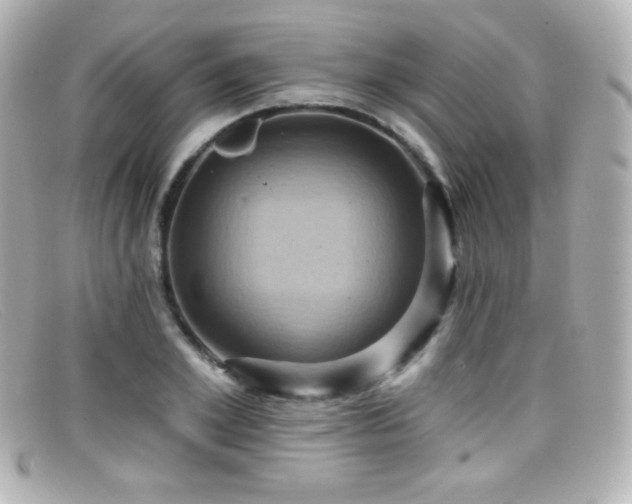 X0000099380981200805081442
