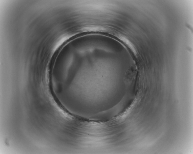 X0000099380983200805081442