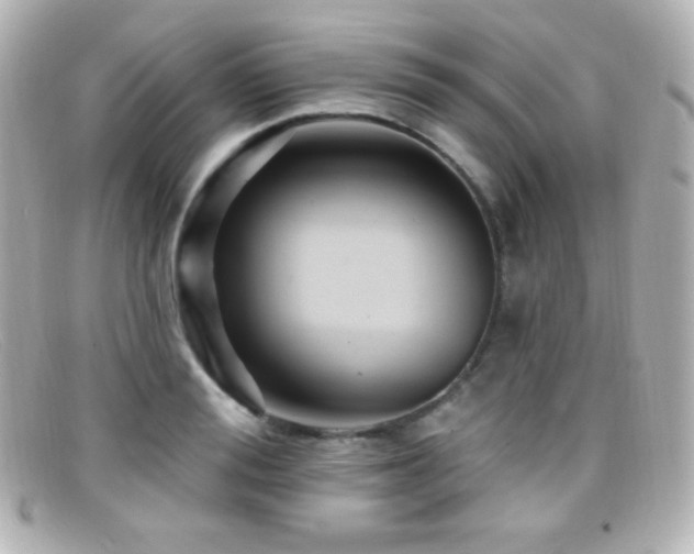 X0000099380988200805081442