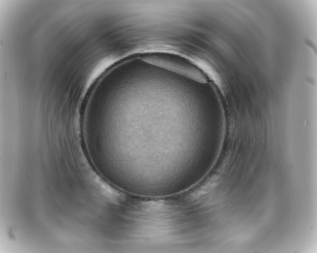 X0000099380990200805081442