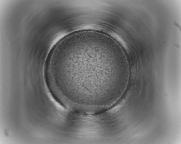 X0000099380991200805081442