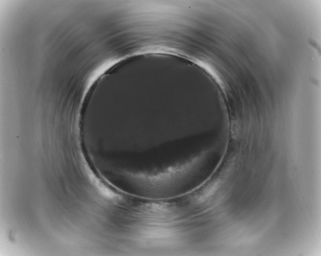 X0000099380995200805081442