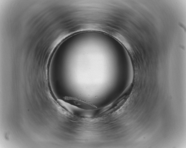 X0000099380996200805081442