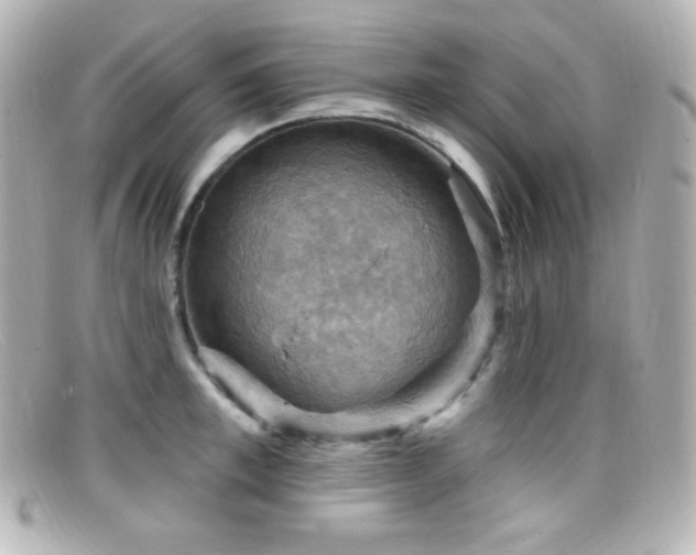 X0000099380997200805081442