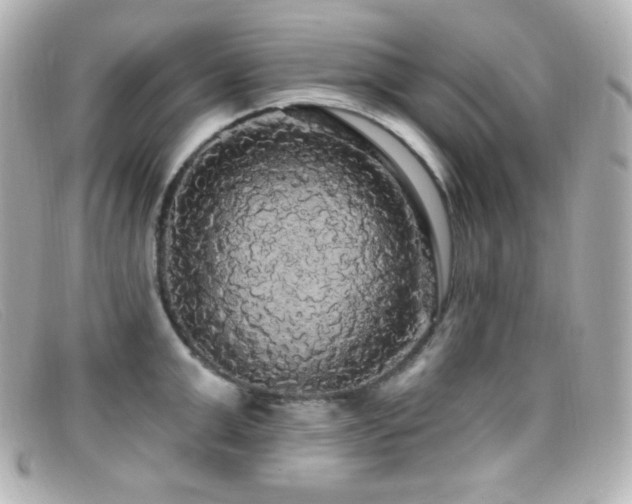 X0000099380999200805081442