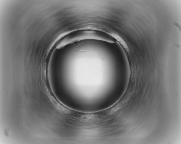 X0000099381000200805081442