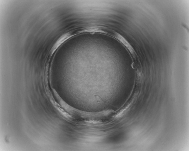 X0000099381002200805081442